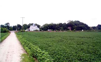 Wooldridge web.JPG (15894 bytes)