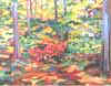 wptgthumb clearing.JPG (8140 bytes)