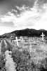 wphothumb taos cemetery.JPG (5207 bytes)